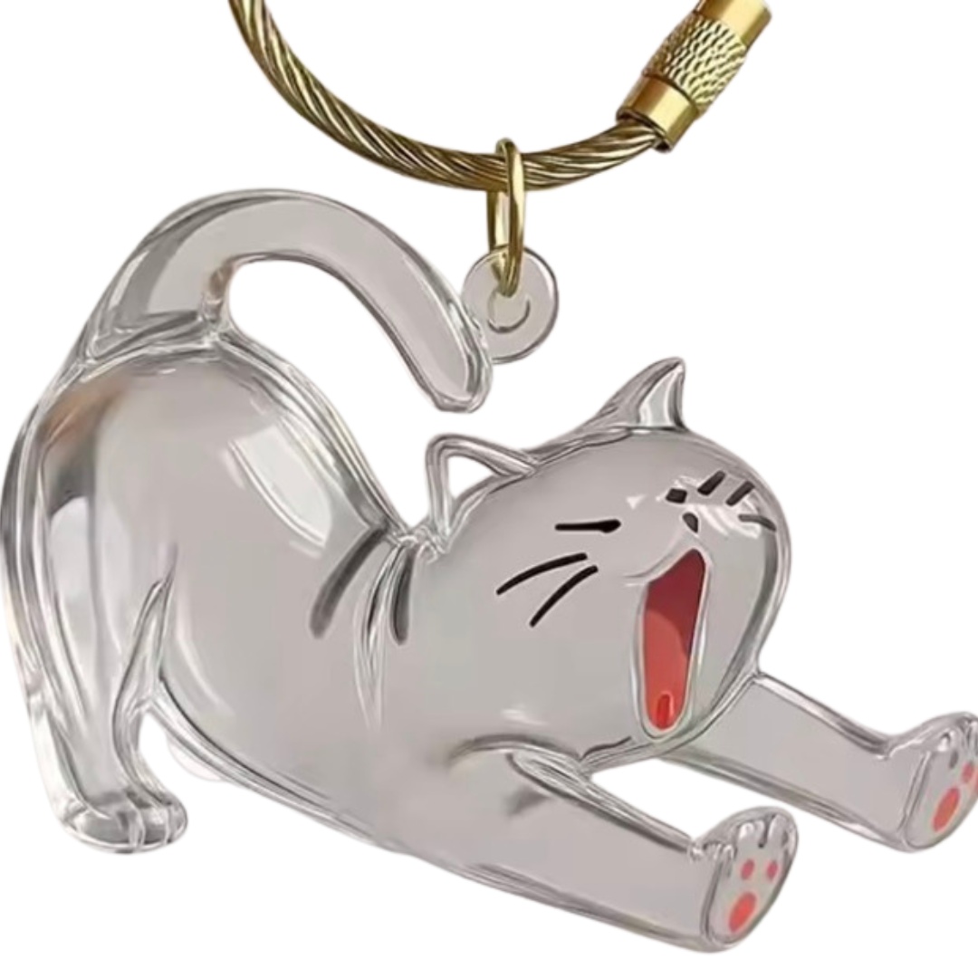 Llavero recuerdo de tu mascota